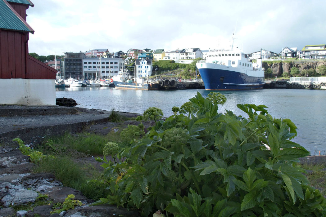 Tórshavn