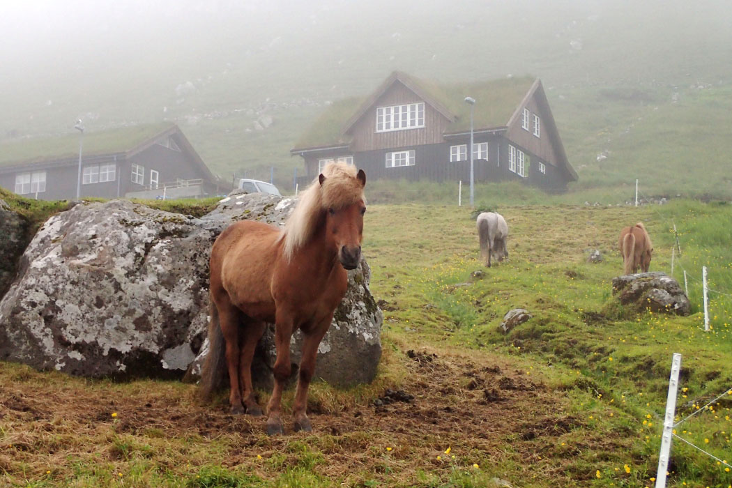 Tórshavn