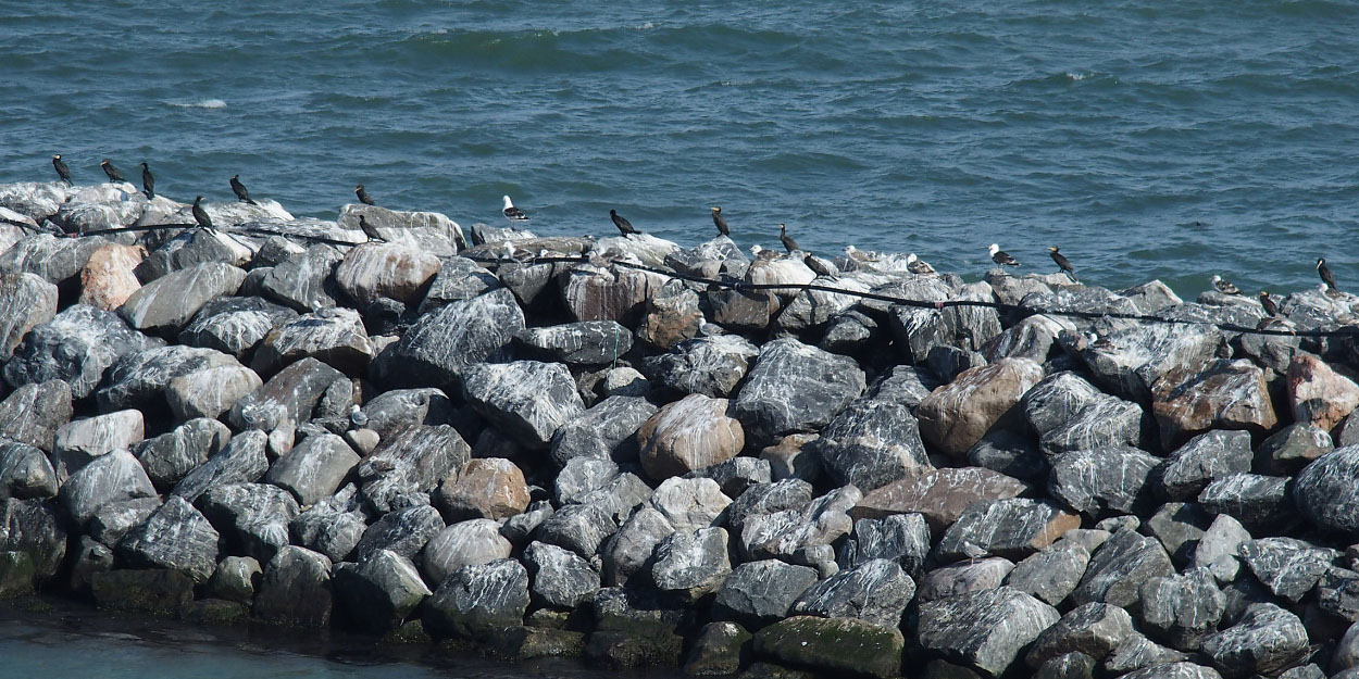 Tórshavn-Hirtshals