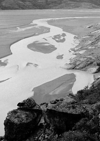 Sydgrønland 1974