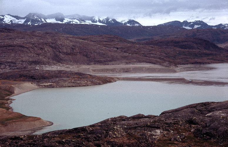 Sydgrønland 1974
