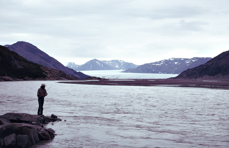 Sydgrønland 1974