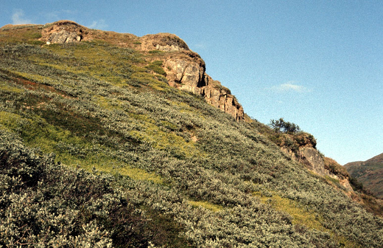 Sydgrønland 1974