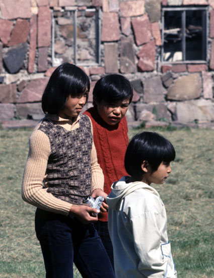 Sydgrønland 1974