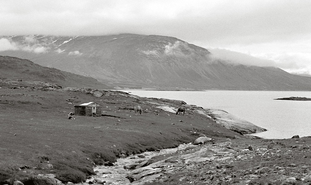 Vandring i Sydgrnland 1975