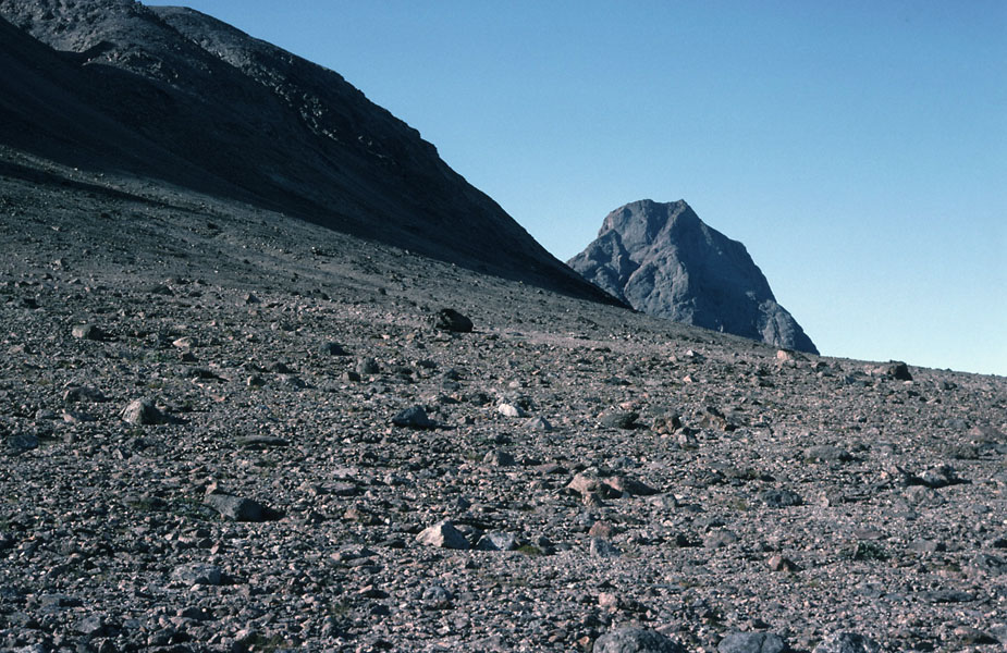 Vandring i Sydgrønland 1975