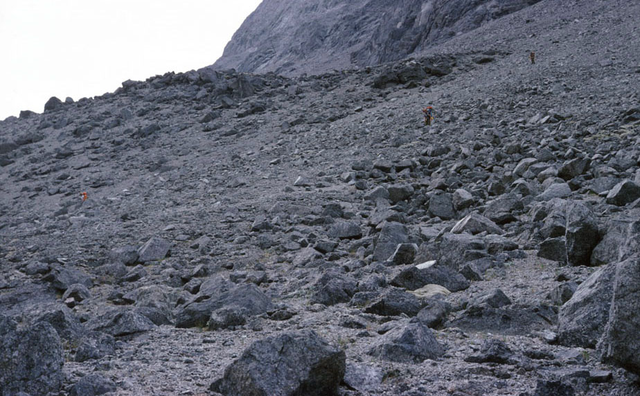 Vandring i Sydgrønland 1975