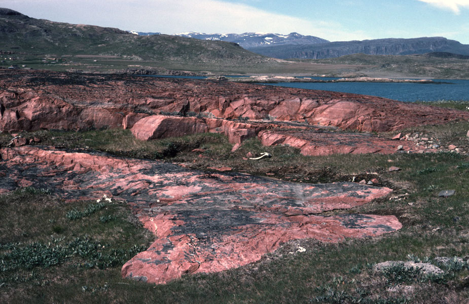 Vandring i Sydgrønland 1975