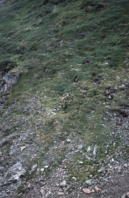Vandring i Sydgrønland 1975