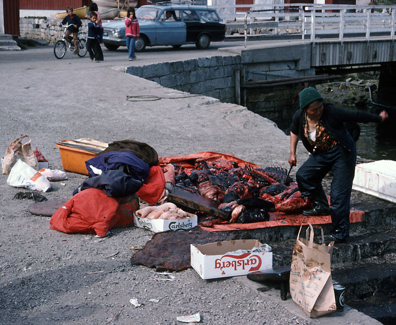 Vandring i Sydgrønland 1975