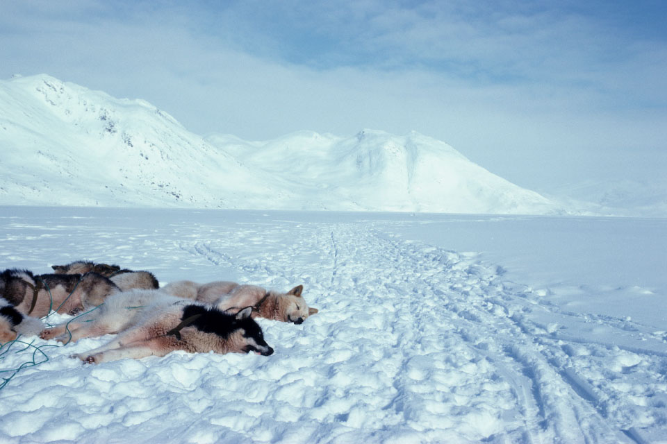 Aput 76 - Sisimiut