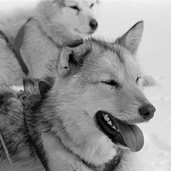 Aput 76