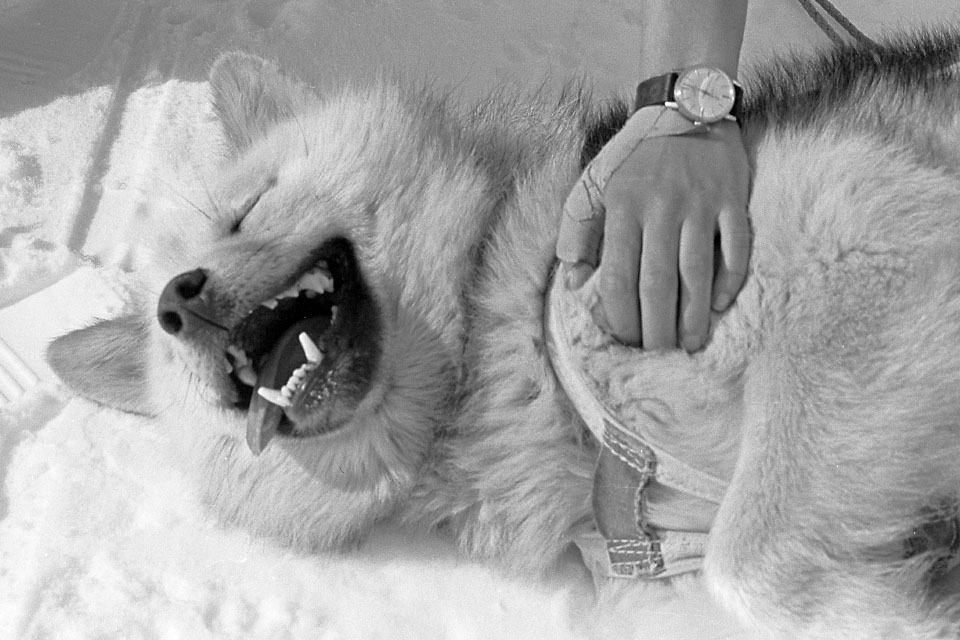 Aput 76