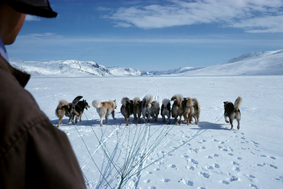 Aput 76