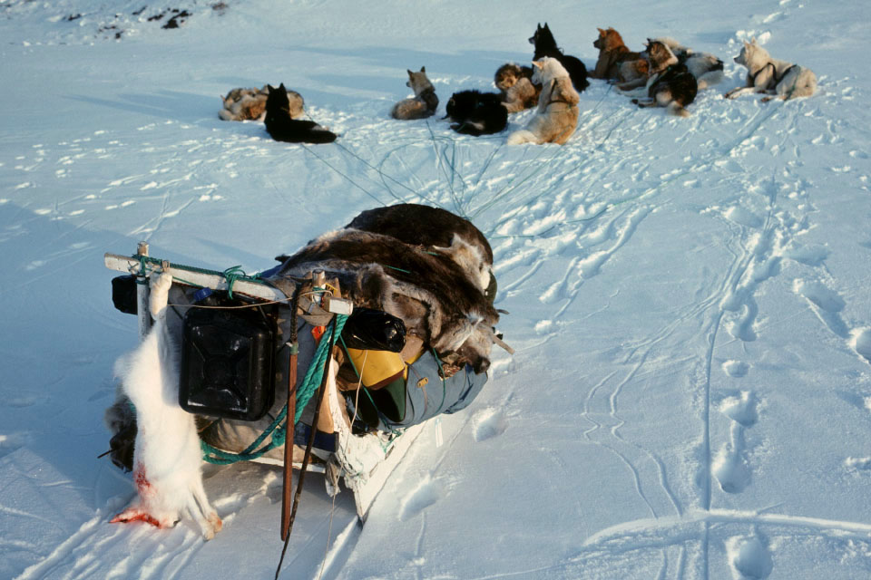 Aput 76