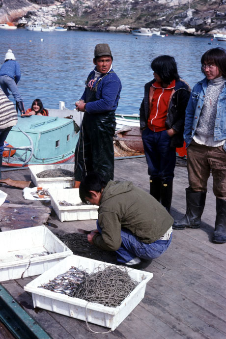 Grønland 1977