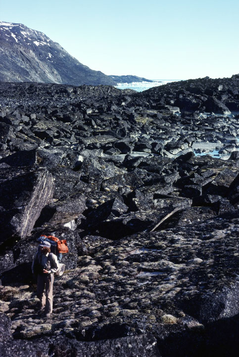 Grønland 1977