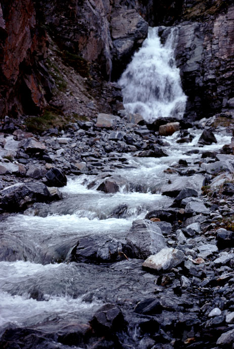 Grønland 1977