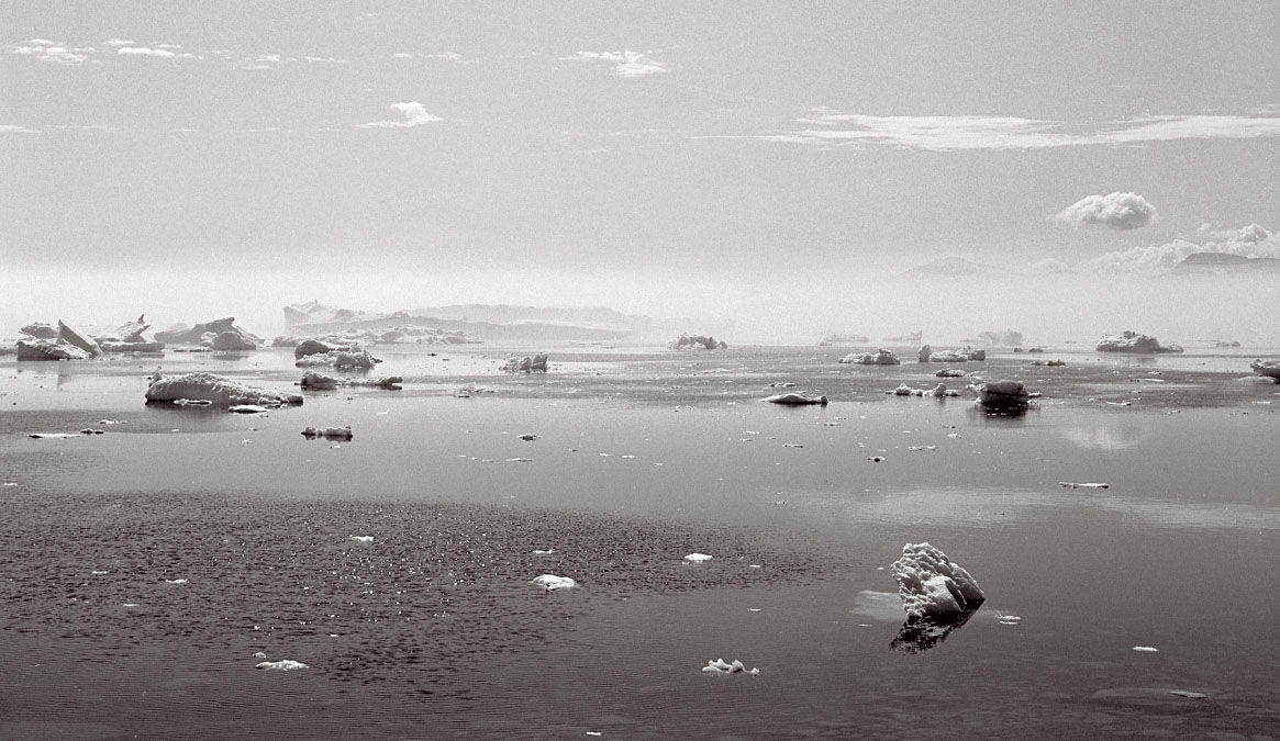 Grønland 1977
