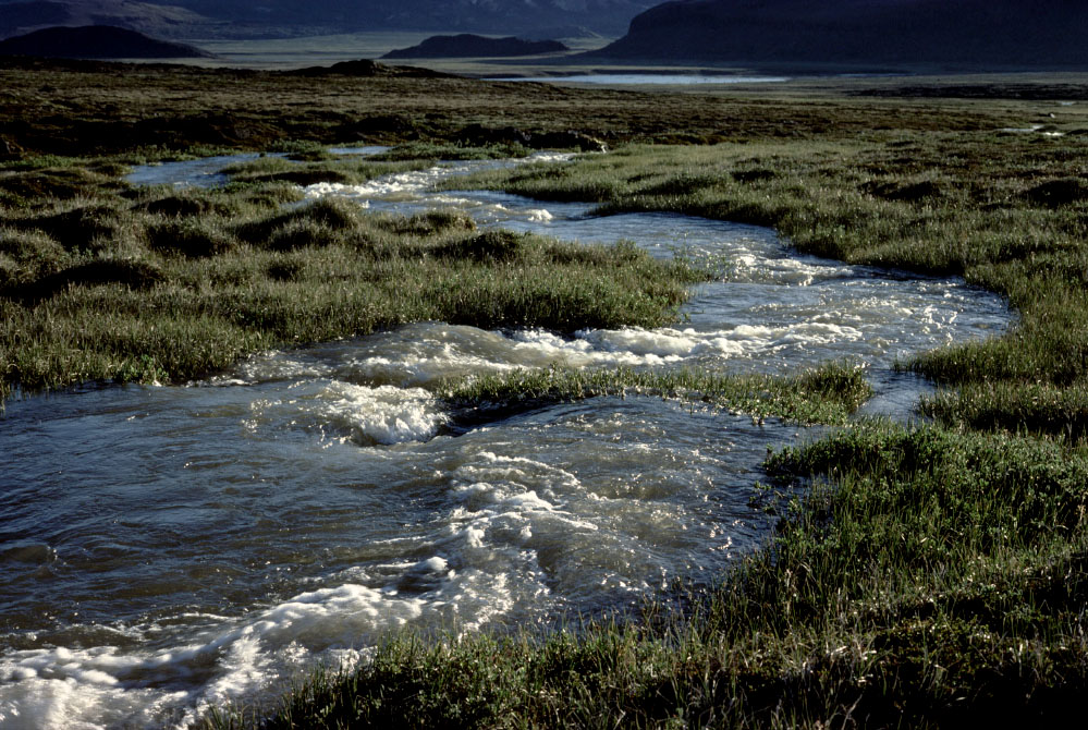 Grønland 1977