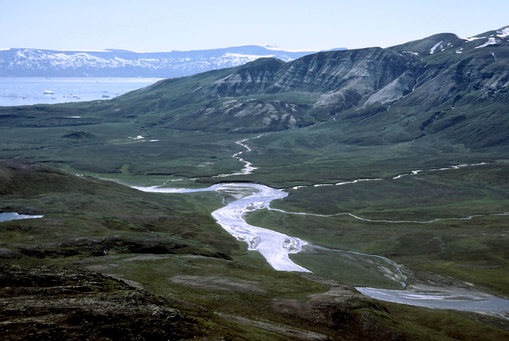 Grønland 1977