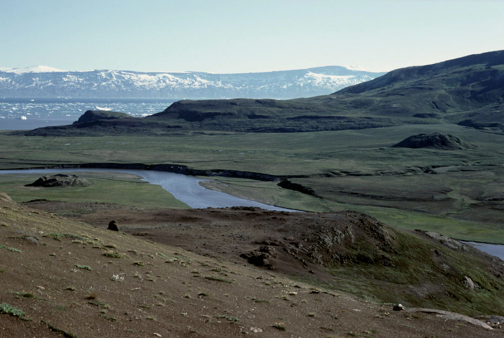 Grønland 1977