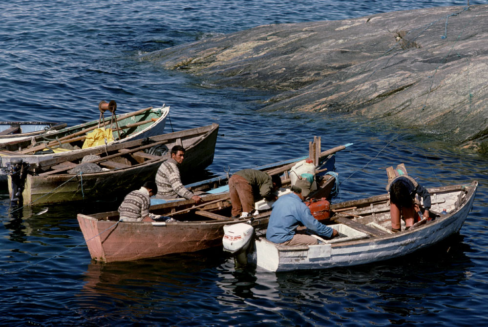 Grønland 1977