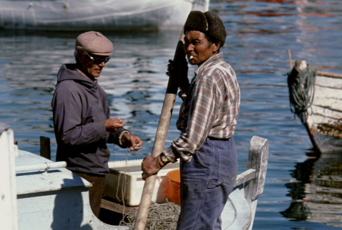 Grønland 1977