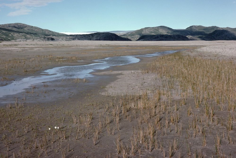 Grønland 1977