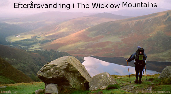 Efterårsvandring i The Wicklow Mountains
