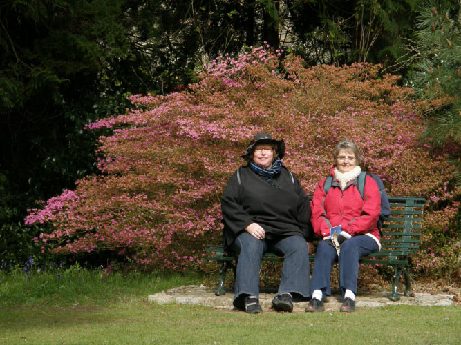 Cornish Excursions