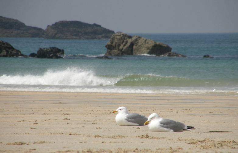 Cornish Excursions