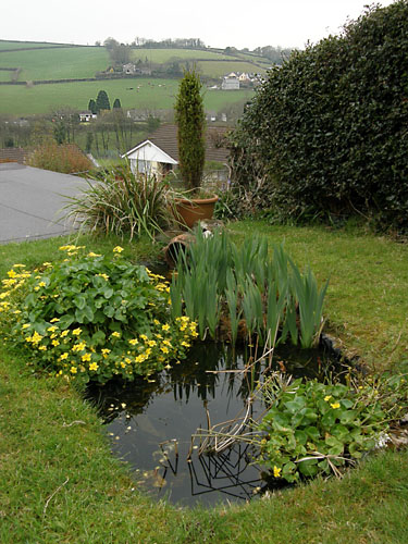 St Neot, Cornwall
