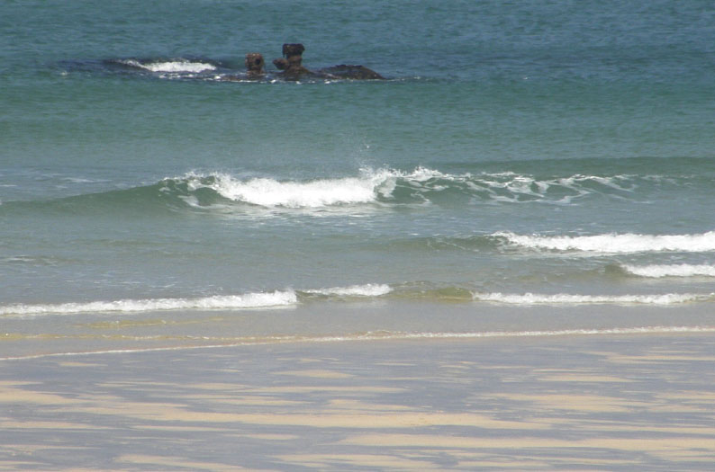 The town of St Ives, Cornwall
