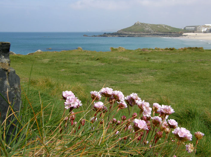 The town of St Ives, Cornwall