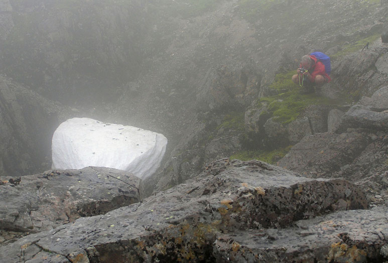 Finn on Ben Nevis