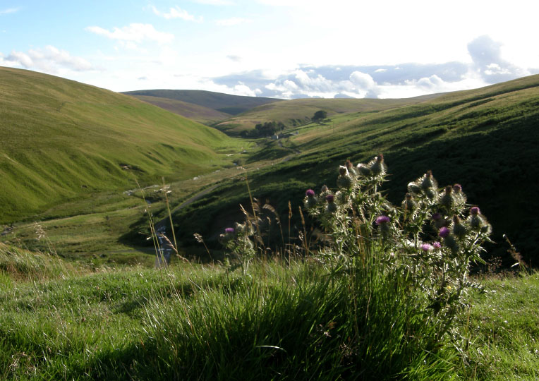 Moorfoot Hills
