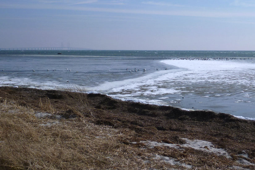 Amager
