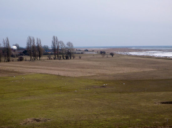 Amager