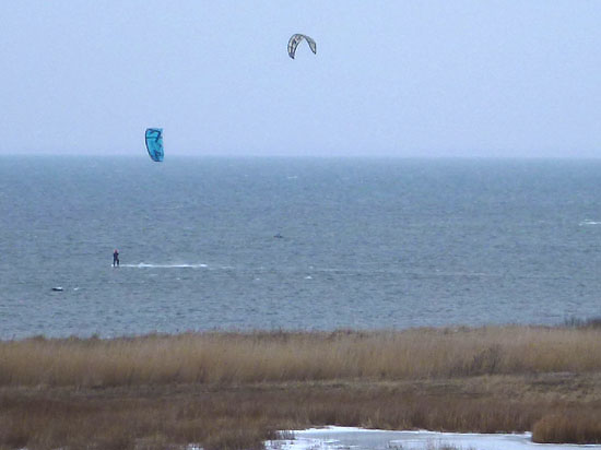 Amager