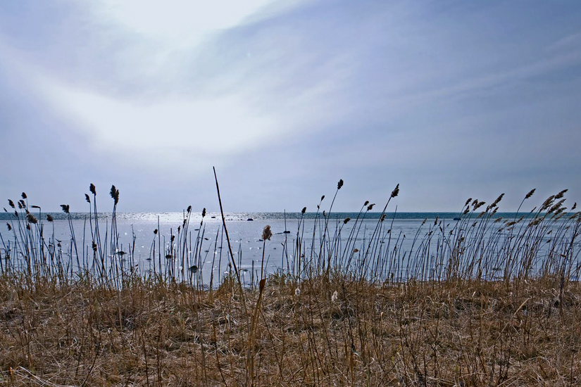 Amager