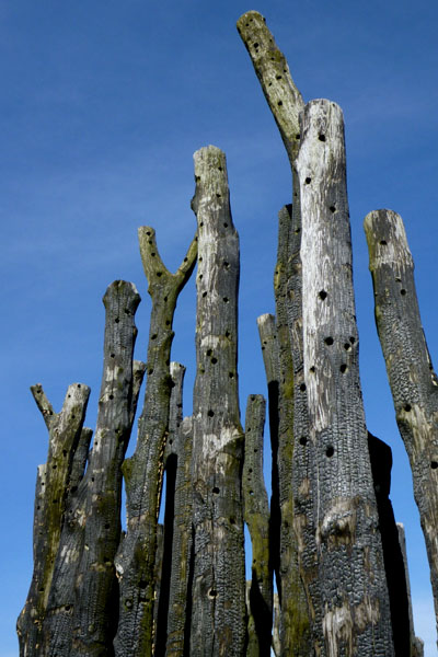 Amager