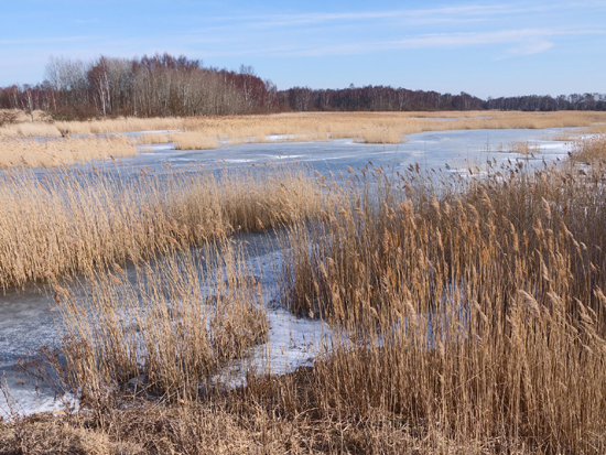 Amager