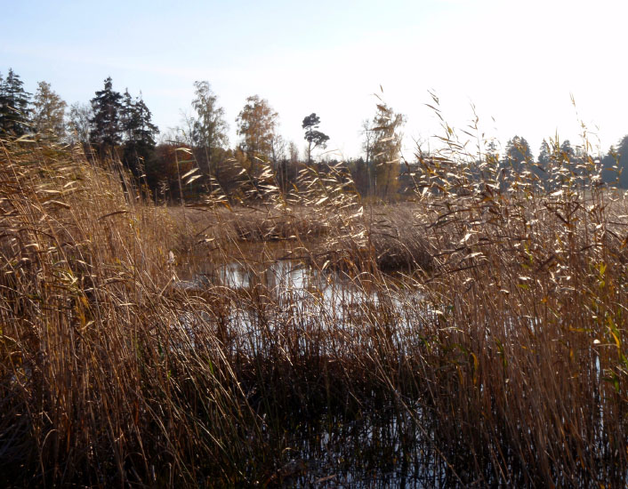 Bastemose, Bornholm