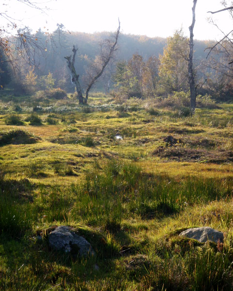 Bastemose, Bornholm