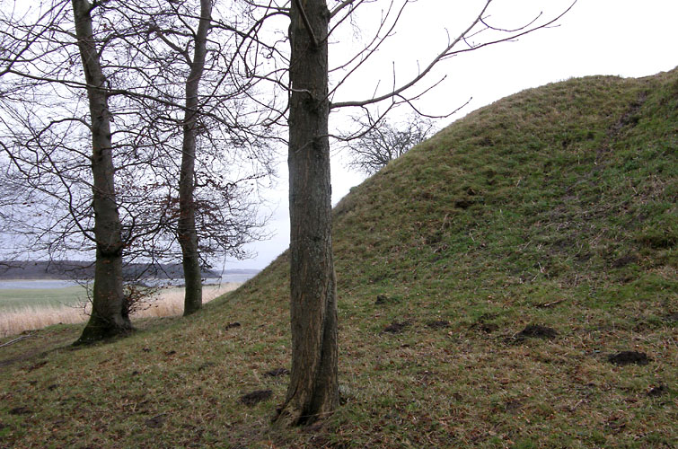 Kongehøj