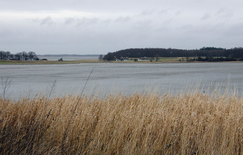 Bognæs, Roskilde Fjord