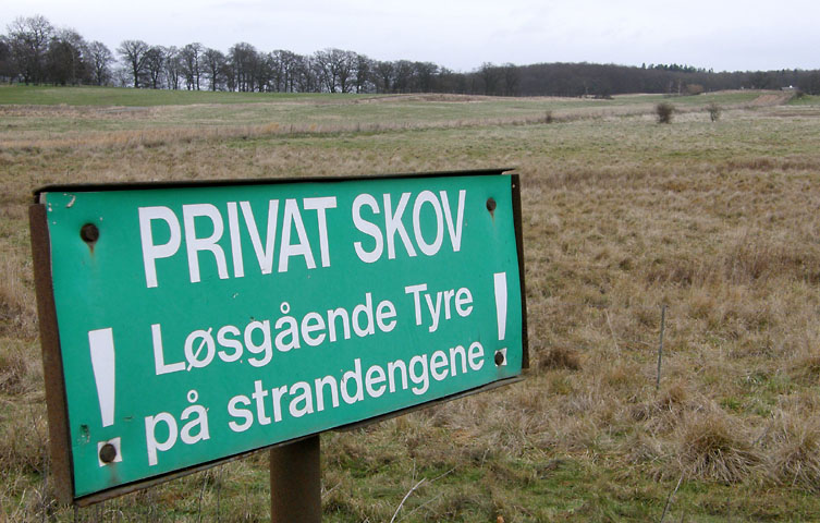 Tyren er løs