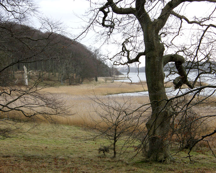 Bognæs, Roskilde Fjord
