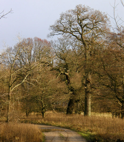 Bognæs, Roskilde Fjord